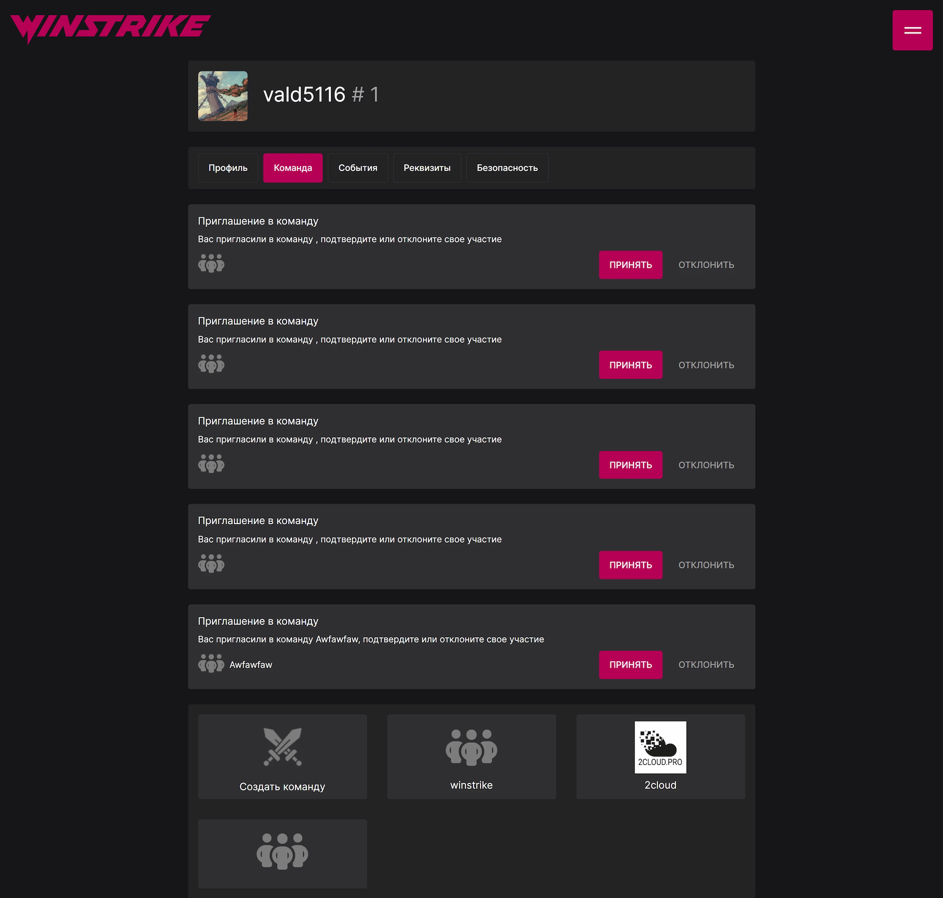 Профиль команды на сайте Winstrike Panel